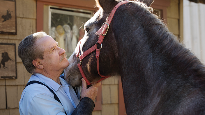 "Brava® Elastic Barrier Strips provide more confidence. I’m not thinking about the appliance; I’m just focusing on the job at hand- working with the horse, or doing something physical."
